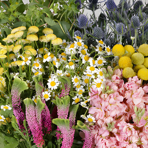Wildflower Spirit DIY Flower Kit Up Close