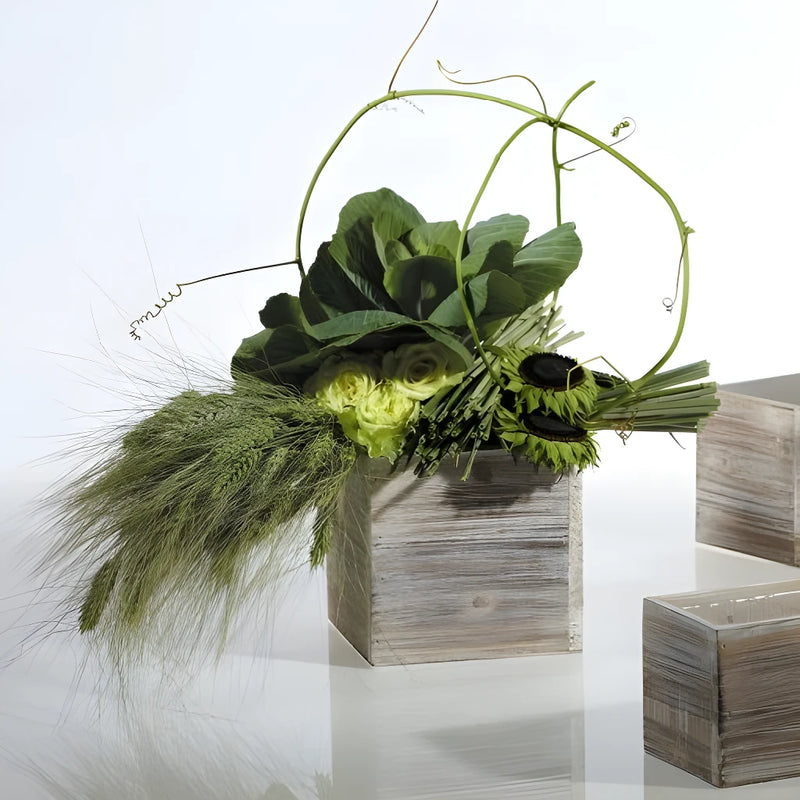 Wooden Square Flower Box Close Up - Image
