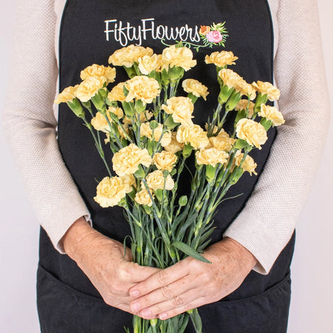 Yellow Mini Carnation Flower Bunch in Hand