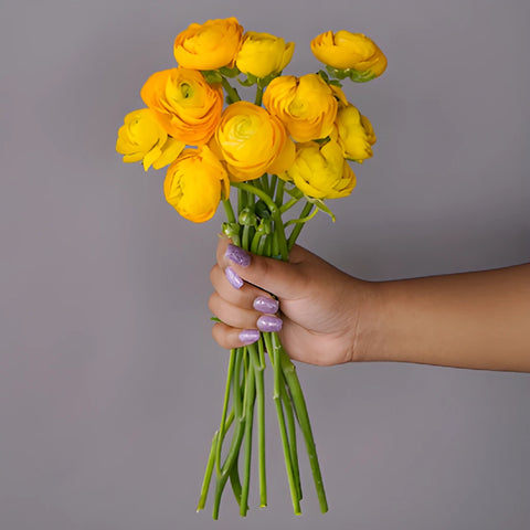 Save The Ranunculus Growers DIY Flower Kit
